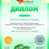 Диплом проекта urokinachalki.ru №12090 (1).jpg